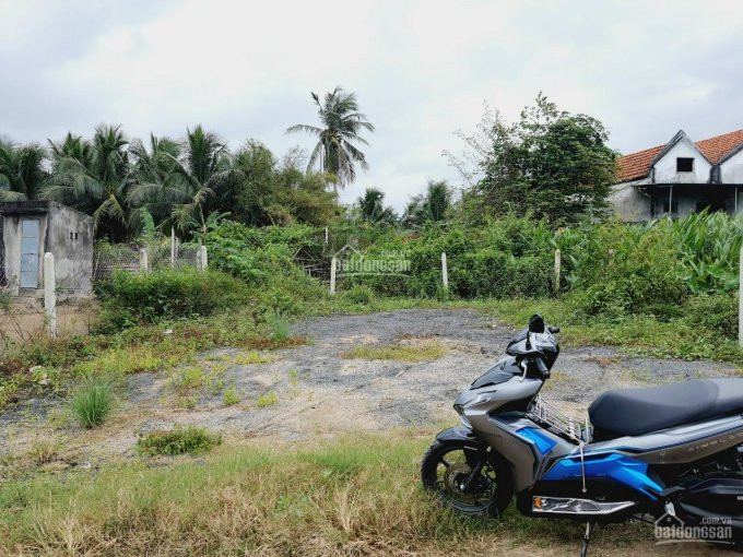 Bán Lô đất đẹp Phú đa , Ninh Hưng, Tx Ninh Hòa Diện Tích: 152m Full Thổ Cư 5