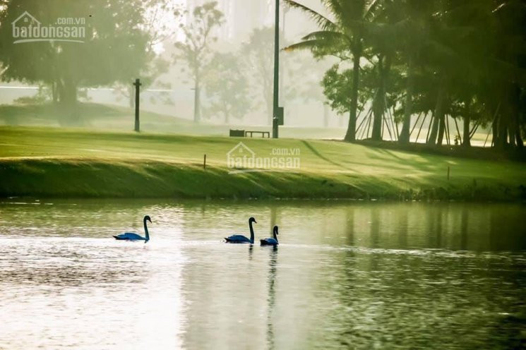 Biệt Thự đảo Ecopark Grand The Island - đóng 30% Nhận Nhà, Vay 36 Tháng Ls 0%, Ck Lên Tới 10 Tỷ 6