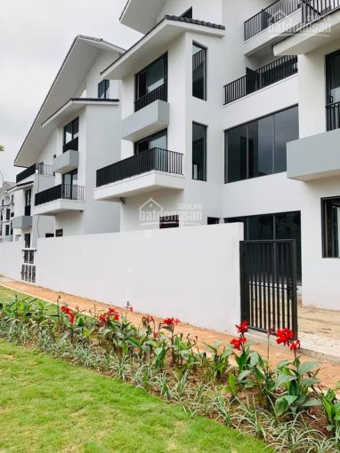 Biệt Thự Song Lập Iris Homes Sd5 Gamuda 158m2 Trả Chậm 36 Tháng, Giá Rẻ, 098 248 6603 7