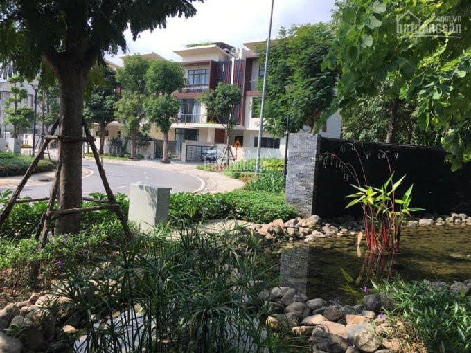 Biệt Thự Song Lập Iris Homes Sd5 Gamuda 158m2 Trả Chậm 36 Tháng, Giá Rẻ, 098 248 6603 9