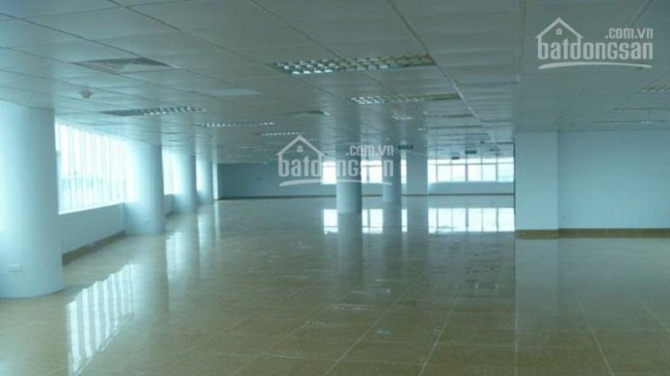 Bql Tòa Nhà An Phú Builing, 24 Hoàng Quốc Việt Cho Thuê Văn Phòng Diện Tích 100m2, 200m2600m2 2