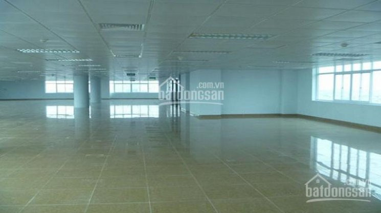 Bql Tòa Nhà An Phú Builing, 24 Hoàng Quốc Việt Cho Thuê Văn Phòng Diện Tích 100m2, 200m2600m2 3