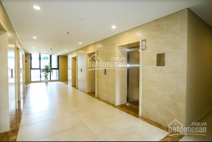 Căn 86m2, Full Nội Thất Cao Cấp, Hướng Nam, View Công Viên, Tầng Siêu đẹp, Giá Rẻ Nhất Dự án 5