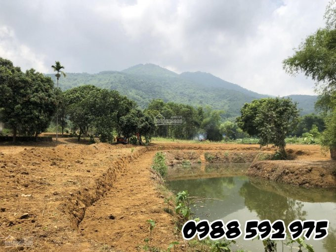 Cần Bán Khu đất Nghỉ Dưỡng, Trang Trại, View Tuyệt đẹp Tại Lương Sơn, Hòa Bình - Giá đầu Tư 2