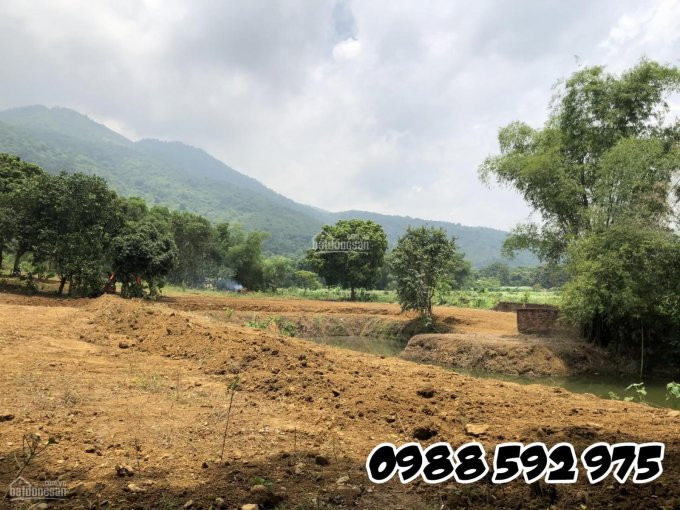 Cần Bán Khu đất Nghỉ Dưỡng, Trang Trại, View Tuyệt đẹp Tại Lương Sơn, Hòa Bình - Giá đầu Tư 3