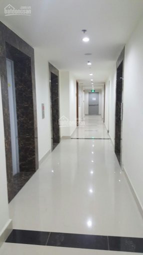 Căn Hộ Quận 7 Cho Thuê Giá Tốt Lh: 0902 706 808 6