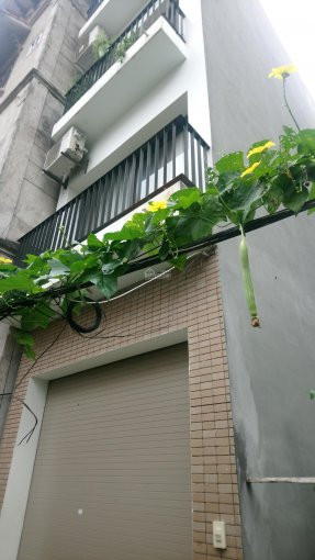 Cần Tiền Bán Gấp Nhà đất Mặt Phố Văn Trì Lấy Tiền Trả Nợ, Sổ đỏ Chính Chủ 2