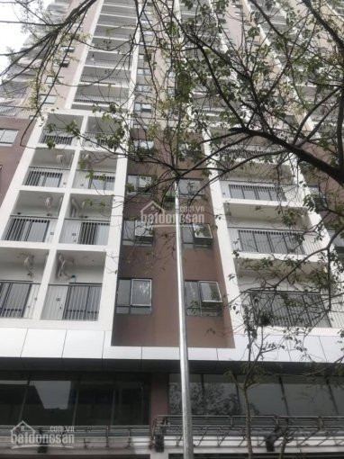 Cđt Mở Bán đợt Cuối - 3 Căn Duplex Vip Nhất Dự án C1 Thành Công: 120-140-160m2, Quỹ Căn Hộ Còn Lại 3