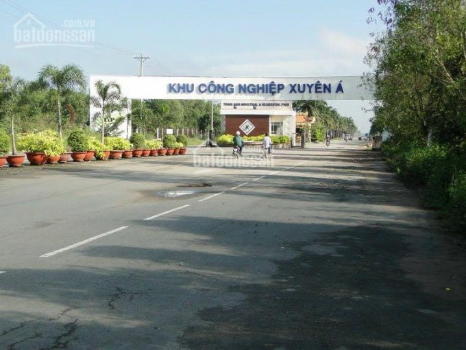 Chính Chủ Bán Nhanh 2,1 Ha ấp Tràm Lạc, Mỹ Hạnh Bắc, đức Hoà, Long An 1