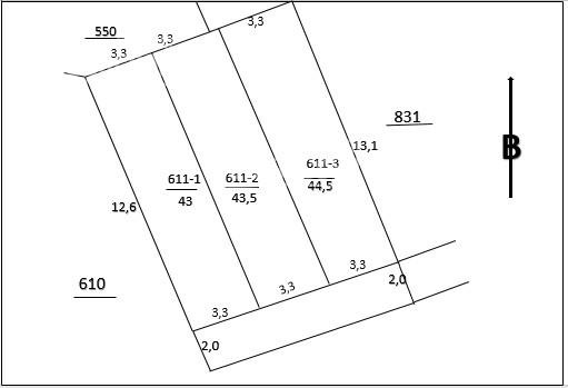 Chính Chủ Bán Nhanh 3 ô đất Thôn Bãi Thụy, Hướng đông Nam 1