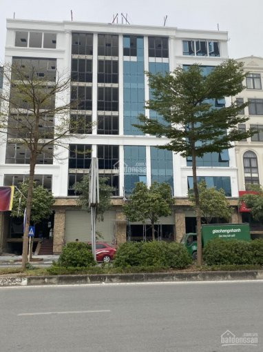 Chính Chủ Bán Nhanh 4 Căn Shophouse Liền Nhau Mặt Phố Lê đức Thọ - Trần Vỹ, Vị Trí đẹp Kd Tốt, Lh: 0989864579 2
