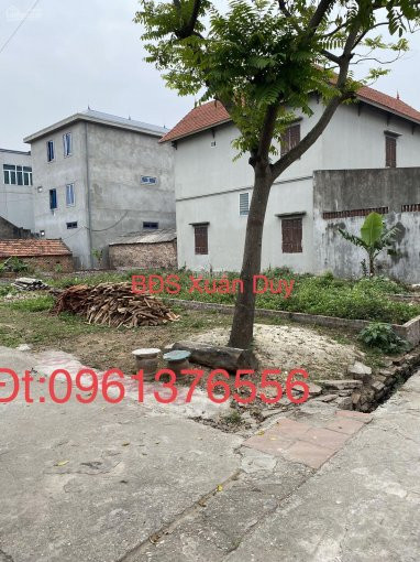 Chính Chủ Bán Nhanh đất đẹp Xã Xuân Nộn 72,3m2 Lô Gócđt 0961376556 2