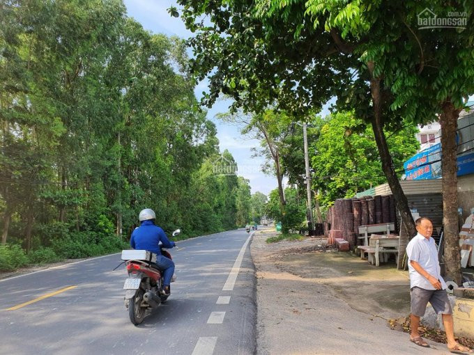 Chính Chủ Bán Nhanh đất Gần Ql3( Xóm Tiên) Tiên Hùng, Nguyên Khê, đông Anh, Tp Hà Nội 5