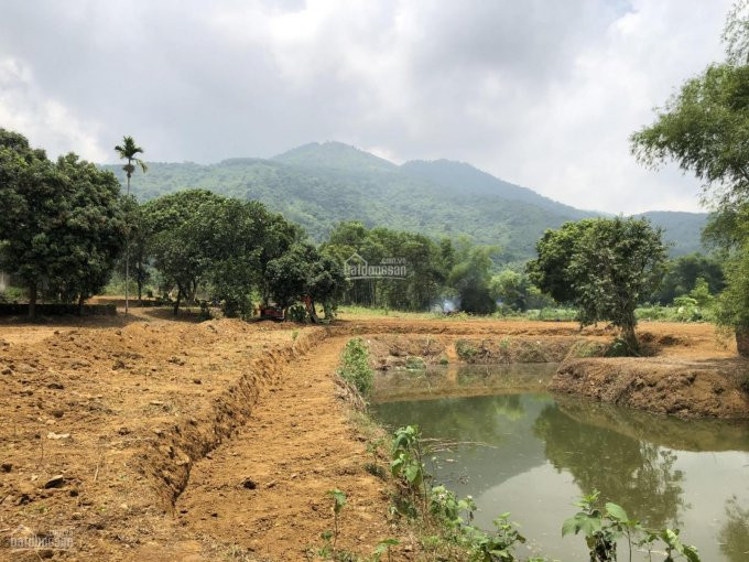 Chính Chủ Bán Nhanh đất Lương Sơn, Hòa Bình, 8300m2, Có Ao, View Ruộng, Nhìn Núi Cực đẹp, Rẻ Nhất Chưa Tới 1tr/m2 2