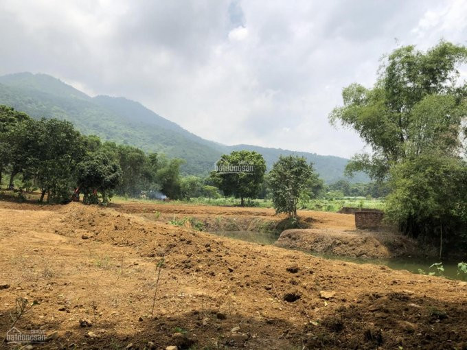 Chính Chủ Bán Nhanh đất Lương Sơn, Hòa Bình, 8300m2, Có Ao, View Ruộng, Nhìn Núi Cực đẹp, Rẻ Nhất Chưa Tới 1tr/m2 3