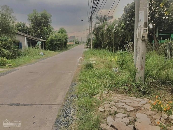 Chính Chủ Bán Nhanh đất Mặt Tiền đường Lộ Dừa ( Bê Tông 5m), Xã Vĩnh Công, Huyện Châu Thành, Long An 1
