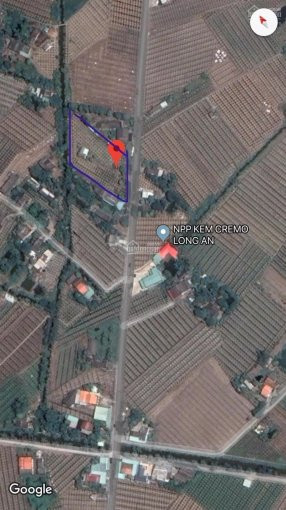 Chính Chủ Bán Nhanh đất Mặt Tiền đường Lộ Dừa ( Bê Tông 5m), Xã Vĩnh Công, Huyện Châu Thành, Long An 7