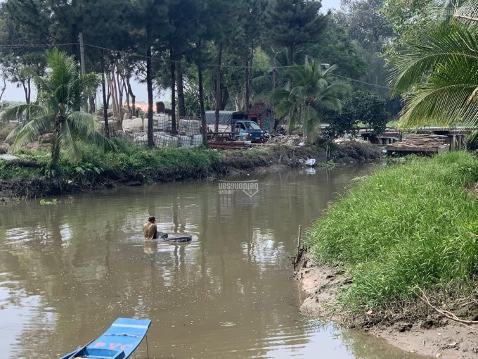 Chính Chủ Bán Nhanh đất (ốc đảo) đường Nhựa, 9000m2 (cây Lâu Năm) Phường Tân định, Bến Cát, Bình Dương 1