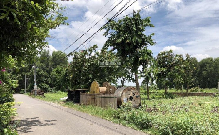 Chính Chủ Bán Nhanh đất Sào Hiệp Hòa, Mặt Tiền đường Nhựa, Hướng Chính đông, Thích Hợp đầu Tư 1