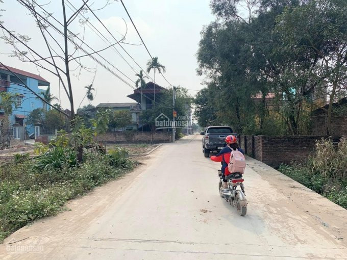 Chính Chủ Bán Nhanh đất Tổ 10 ấp Tre, Thị Trấn Quang Minh, Mê Linh, Hà Nội Xe Tải Tránh Nhau Giá 1 Tỷ 215tr 1