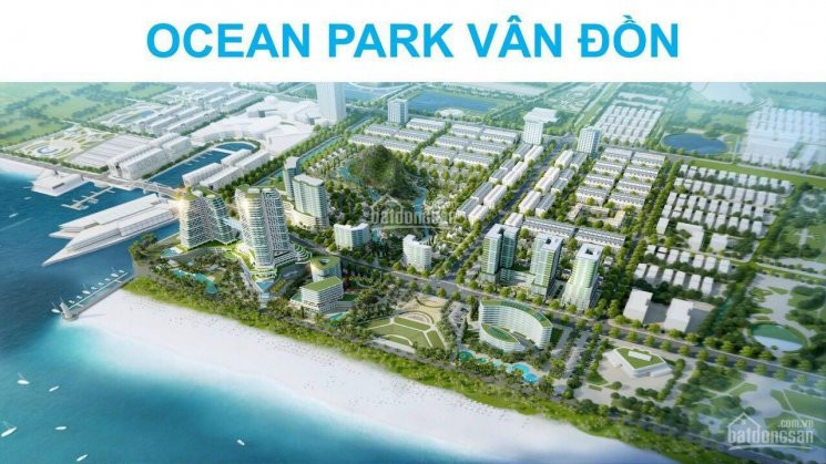 Chính Chủ Bán Nhanh đất Vân đồn Quảng Ninh 23 Triệu - 30 Triệu/m2 Dự án Ocean Park Vân đồn, 0966382595 2