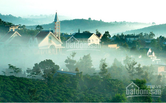 Chính Chủ Bán Nhanh Gấp Nền Thổ Cư Ngay Trung Tâm Lâm đồng, View Tuyệt đẹp, Mua đầu Tư Hoặc Xây Nhà đều Hợp Lý 3