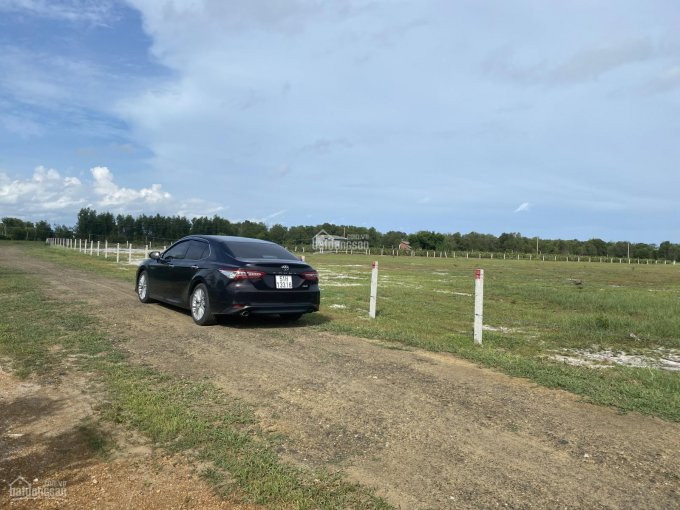 Chính Chủ Bán Nhanh Lô đất Biển Lagi Siêu đẹp - Mt Lê Quang định Tx Lagi Bình Thuận, Cách Biển đồi Dương Chỉ 350m 6