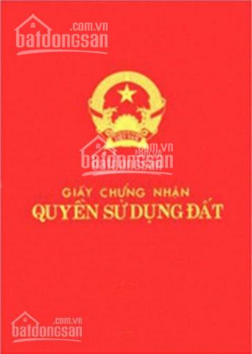 Chính Chủ Bán Nhanh Nhà ái Mộ, 40m2, Mt: 4m, Lô Góc, Ngõ To ô Tô Vào, Sđcc, 315 Tỷ 1