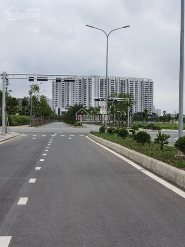 Chính Chủ Bán Nhanh Nhà Hàng Xóm Vinhomes Riverside - Vị Trí đẹp – ở Sướng – Giá Tăng Dần 3