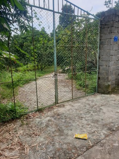 Chính Chủ Bán Nhanh Nhanh 4000m2 Có 400 M2 đất ở đồng Bái, Thị Trấn Lương Sơn Phẳng Lỳ, Tuyệt đẹp 1