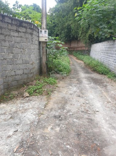 Chính Chủ Bán Nhanh Nhanh 4000m2 Có 400 M2 đất ở đồng Bái, Thị Trấn Lương Sơn Phẳng Lỳ, Tuyệt đẹp 3