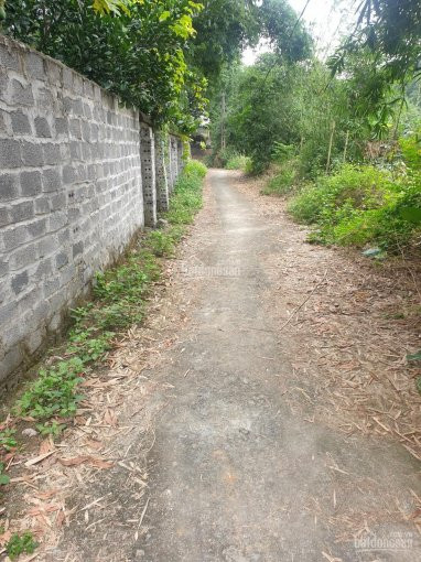 Chính Chủ Bán Nhanh Nhanh 4000m2 Có 400 M2 đất ở đồng Bái, Thị Trấn Lương Sơn Phẳng Lỳ, Tuyệt đẹp 4
