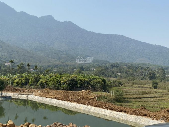 Chính Chủ Bán Nhanh Nhanh Trước Tết Một Số Lô đất Yên Bình, Thạch Thất, Vị Trí đẹp, Giá Hấp Dẫn 2