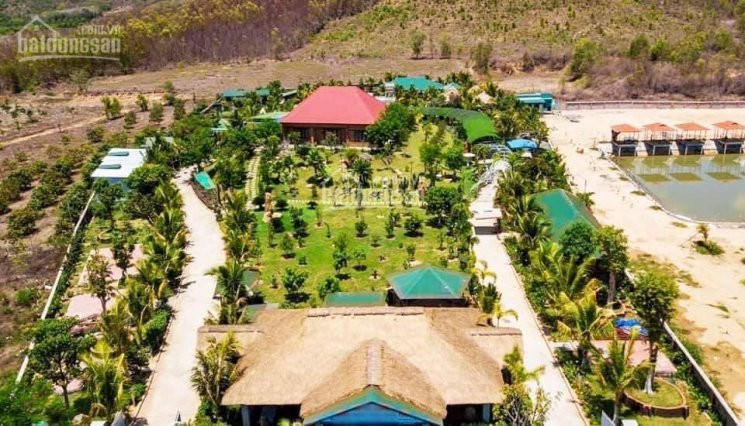 Chính Chủ Bán Nhanh Resort Mini Mặt Tiền Cao Bá Quát - Diên Khánh 3