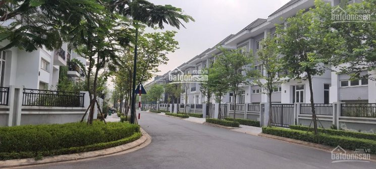 Chính Chủ Bán Nhanh Shophouse, Biệt Thự Ciputra Mặt đường Nguyễn Văn Huyên, đường đôi 40m - Bt Khu K Giá Tốt Nhất 12