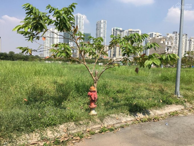 Chính Chủ Cần Bán 5 Lô đất Giá F0 Mt đường Nguyễn Hoàng, Quận 2 Giá Tt 3 Tỷ/nền Shr, Csht Hoàn Thiện, Tc 100% 6