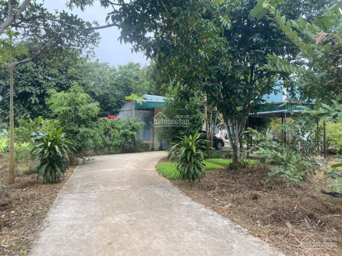 Chính Chủ Cần Bán 5741m2 đất đã Có Khuôn Viên Nhà Vườn Hoàn Thiện Giá Rẻ Nhất Tại Tt Lương Sơn 2
