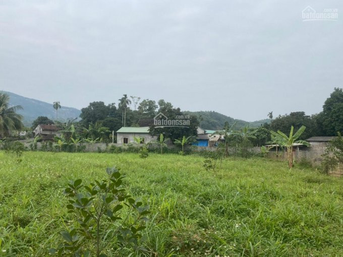 Chính Chủ Cần Bán 5741m2 đất đã Có Khuôn Viên Nhà Vườn Hoàn Thiện Giá Rẻ Nhất Tại Tt Lương Sơn 5