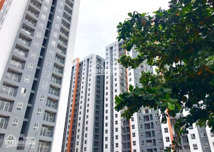 Chính Chủ Cần Bán Căn Hộ Samsora Riverside 38 M2, đã Nhận Sổcó Thương Lượng 6