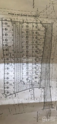 Chính Chủ Cần Bán đất đấu Giá X5 Thôn đông Tây, Xã Vân Nội, Huyện đông Anh 3