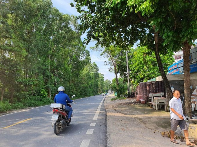 Chính Chủ Cần Bán đất Gần Ql3( Xóm Tiên) Tiên Hùng, Nguyên Khê, đông Anh, Tp Hà Nội 4