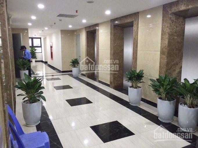 Chính Chủ Cần Bán Gấp Cắt Lỗ Căn Hộ 82m2 An Bình City Chỉ 2,77 Tỷ Liên Hệ 0949259583 2