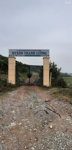 Chính Chủ Cần Bán Gấp Khu đất đồi Xã Thanh Cao, Lương Sơn, Hòa Bình, Tổng Diện Tích 5500m2 4