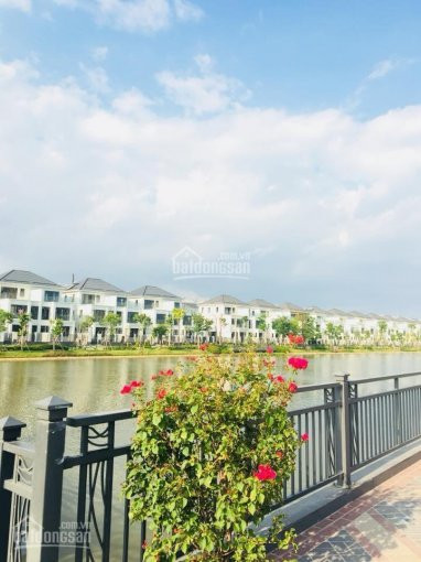 Chính Chủ Cần Bán Gấp Nhà Phố Shophouse Mặt Tiền đường Song Hành Lakeview City, Giá 205 Tỷ 0908113111 6