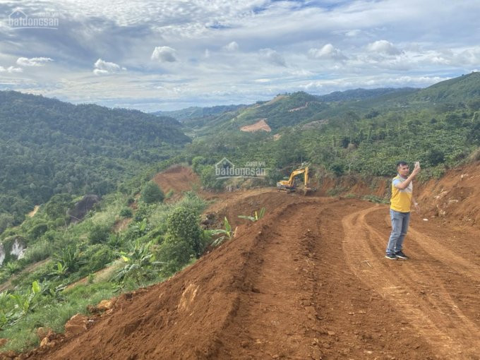 Chính Chủ Cần Bán Lô đất Diện Tích Lớn Xã đam Bri, Tp Bảo Lộc, Thích Hợp Nghỉ Dưỡng, Giá Tốt 5