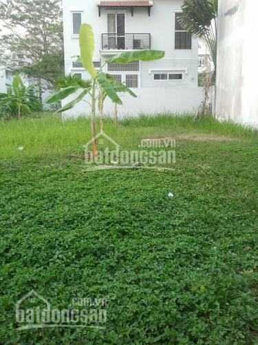 Chính Chủ Cần Bán Lô đất Nam Thông 1, Phú Mỹ Hưng, Q7 Diện Tích: 11x18m Lh: 0919 582 486 1