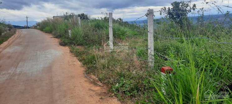 Chính Chủ Cần Bán Lô đất View Sông đồng Nai, 4450m2, 70m Mặt Tiền, đường Nhựa 6m, Khu Dân Cư 1