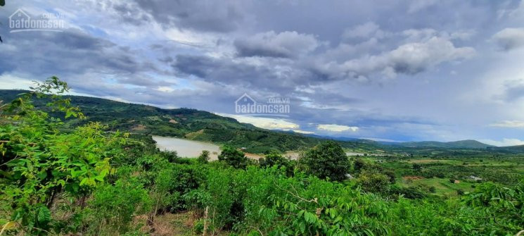 Chính Chủ Cần Bán Lô đất View Sông đồng Nai, 4450m2, 70m Mặt Tiền, đường Nhựa 6m, Khu Dân Cư 2