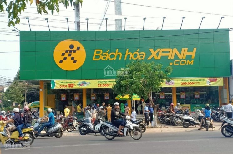 Chính Chủ Cần Tiền Bán Lô đất đường Nguyễn An Ninh, Dĩ An, Bình Dương, 825m2 Full Thổ Cư Sổ Hồng Riêng 4