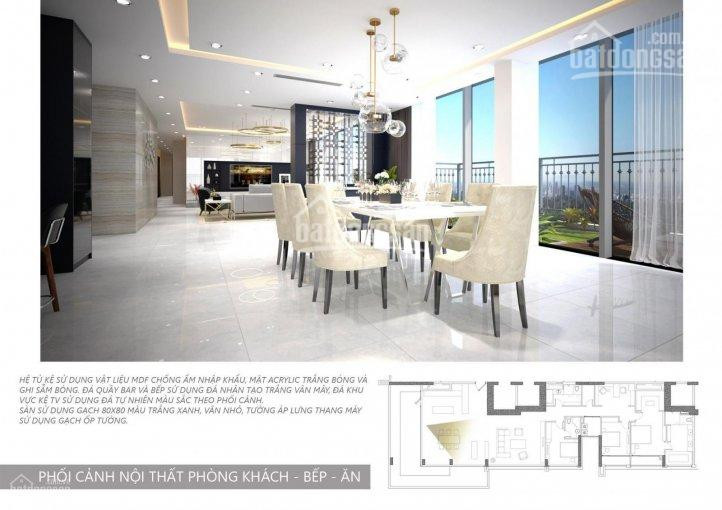 Chính Chủ Cho Thuê Nhanh Căn Penthouse Vinhomes Central Park Giá Tốt, Dt 300m2, View Sông Và Bitexco 0977771919 1